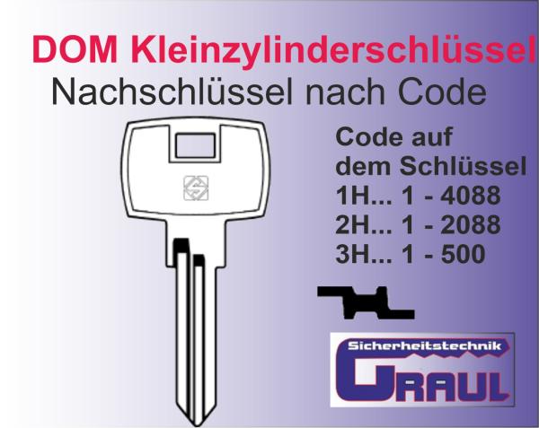 Nachschlüssel DOM, DOM-12D, vorwiegend Spinde - Kopie